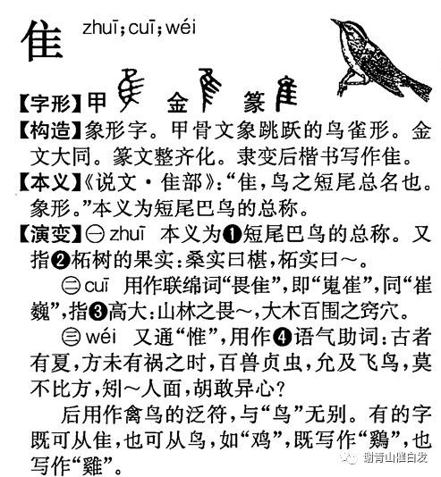 探索‘仙’字的多重含义与组词，揭示其在汉语中的文化与艺术魅力